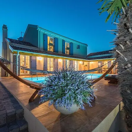 Solea فيلة Pridraga